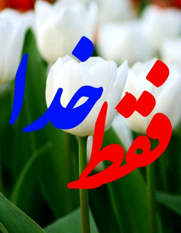 جاوید طاهری
