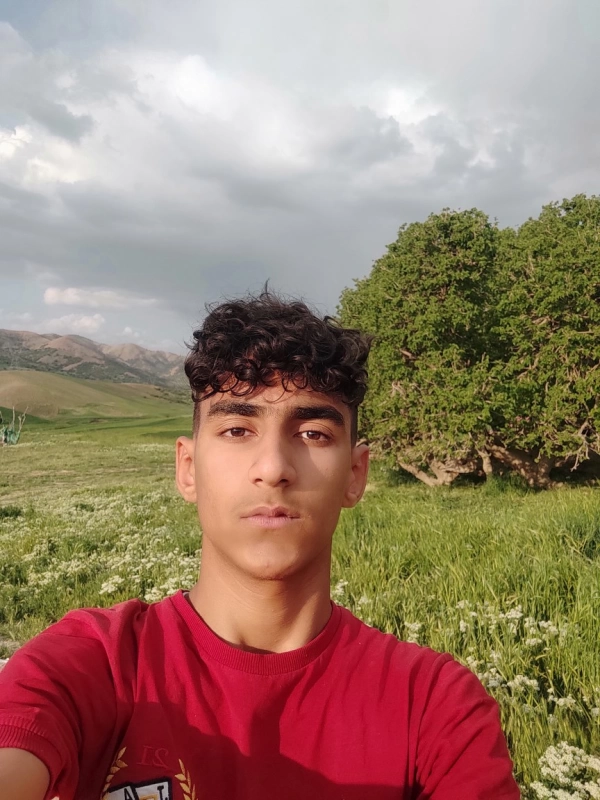 محمدامین