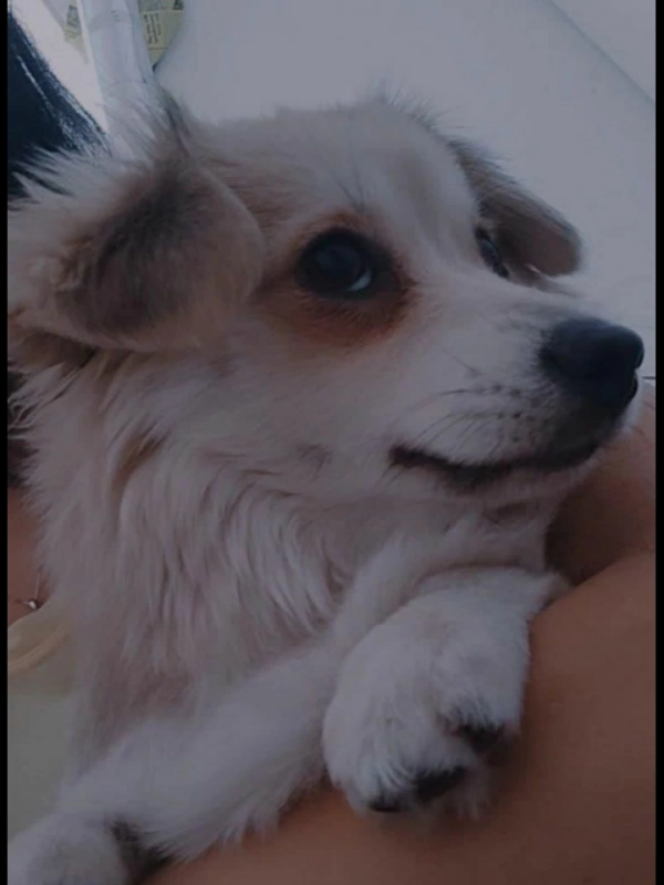 tina