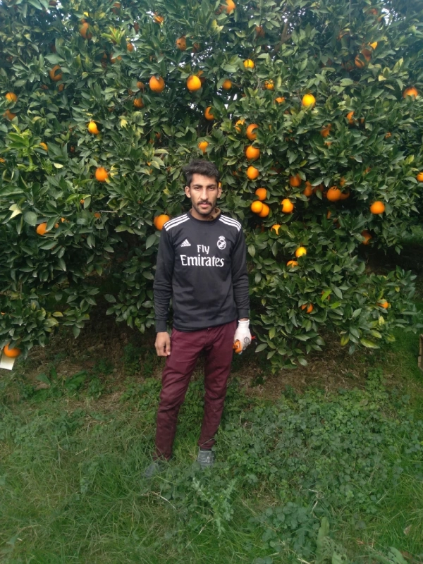 فرهاد