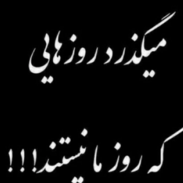 @yp15077