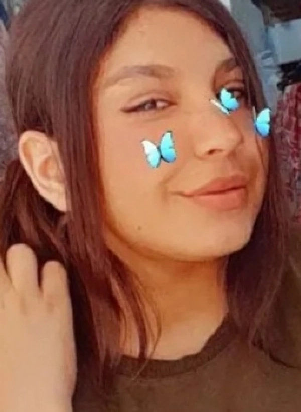 زمین