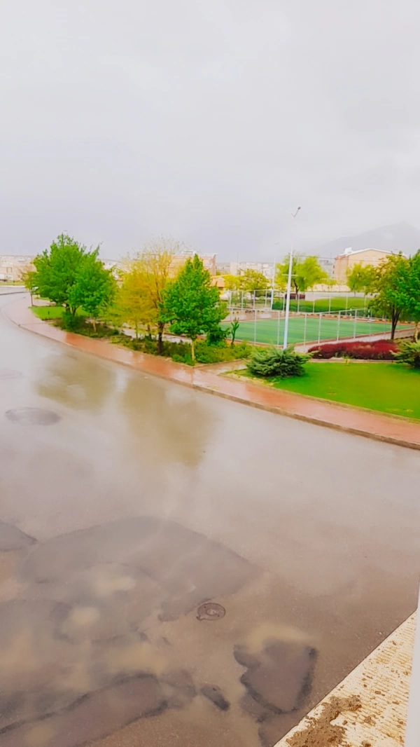 مهیا