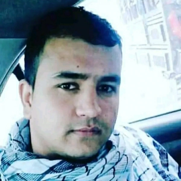وحید محبی