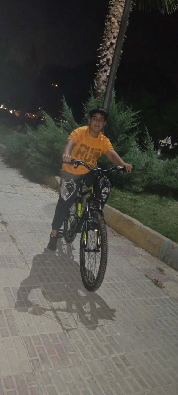 امیر