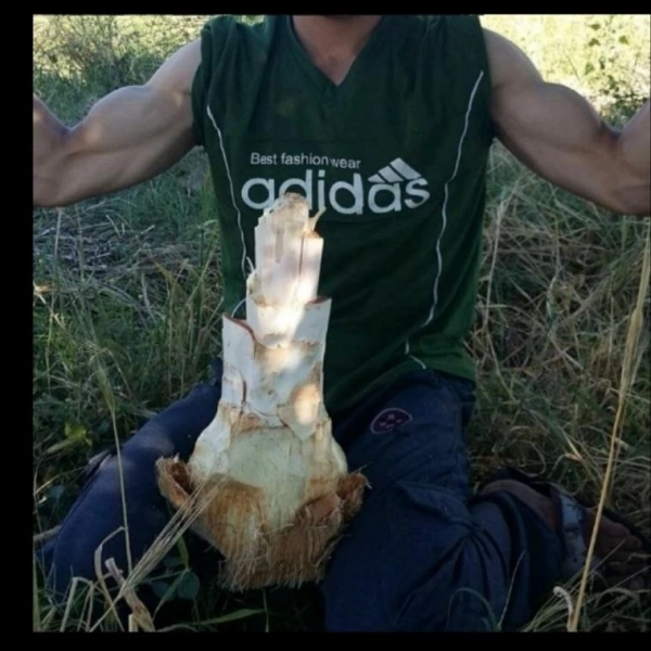بدون سیاره