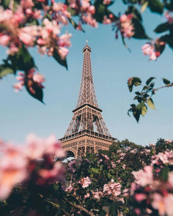 دختر عاشق گل رز