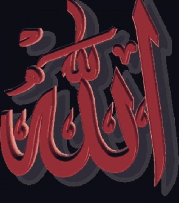 دنبال عشق واقعی هستم
