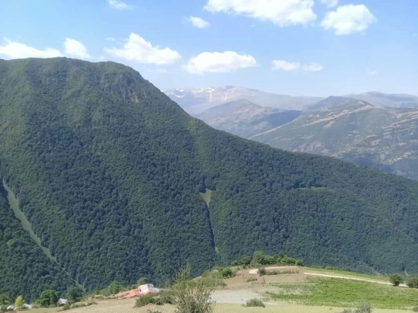 چشان