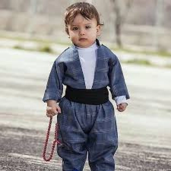 Amir s