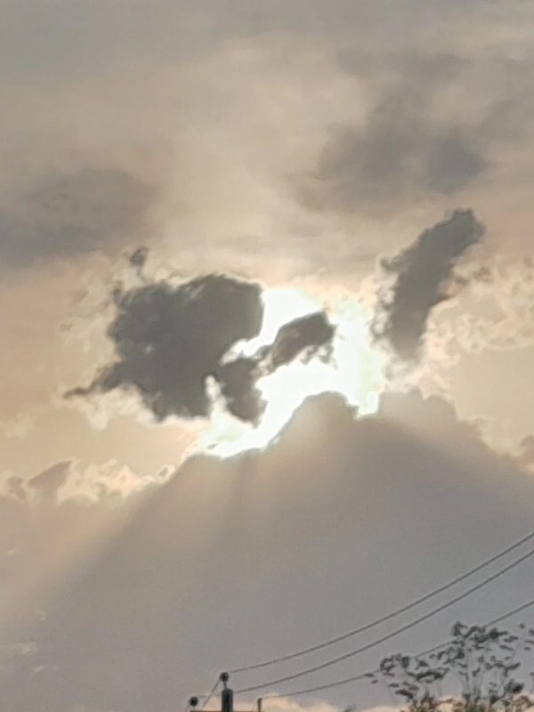 علمی نو:درسیاره زمین