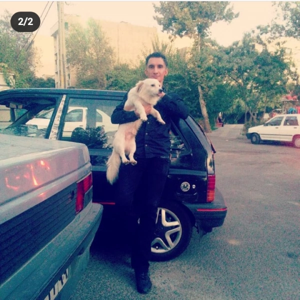 hamed ...... همه گفتن نه .... ولی من