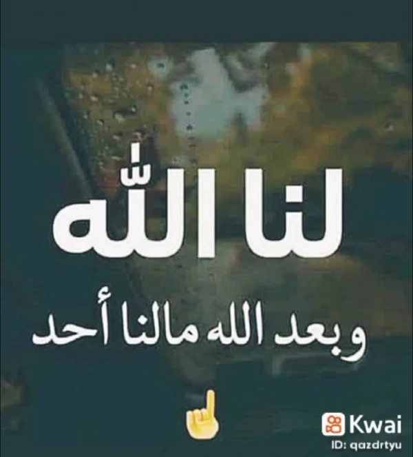 رضاتنها