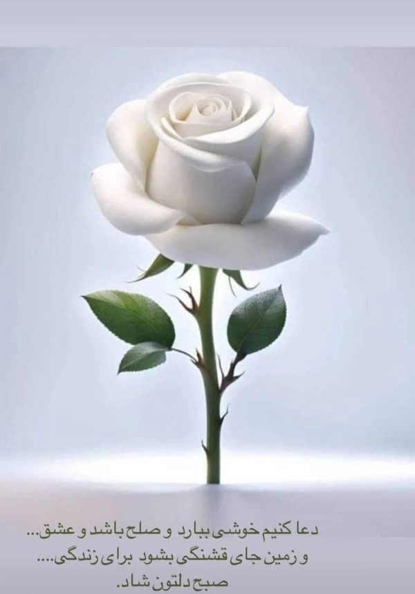 سیاره 4117