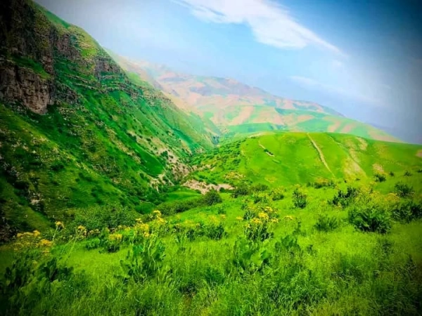 زوحل