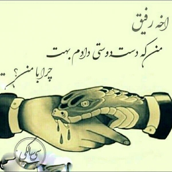 سعید شیرازی
