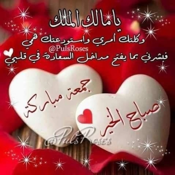 mehdi