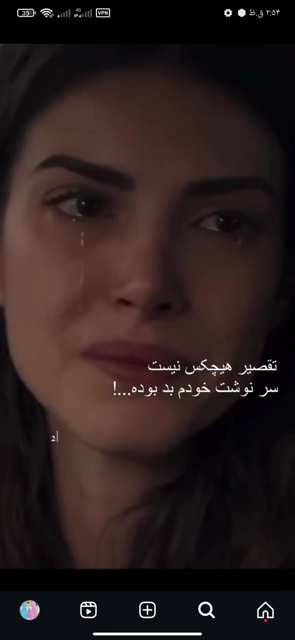 شقایق