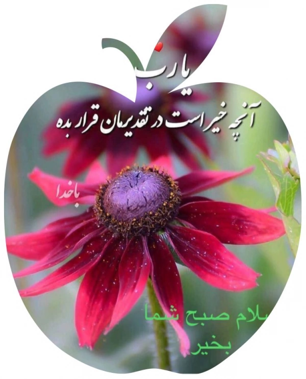behnam