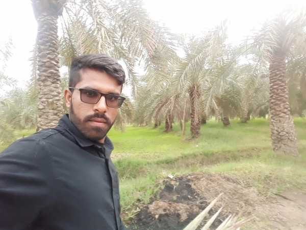 مجید