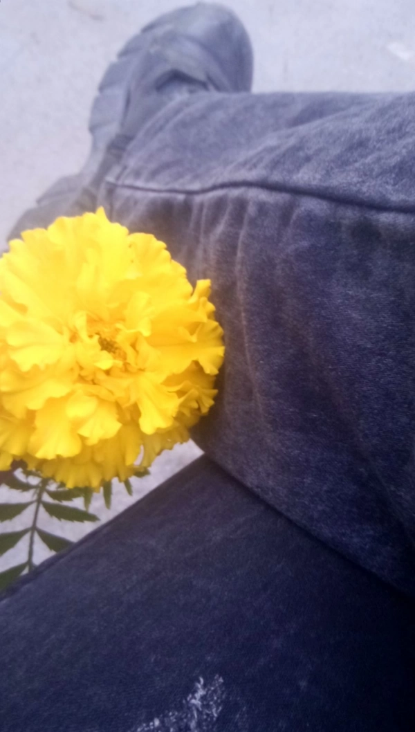 سارا