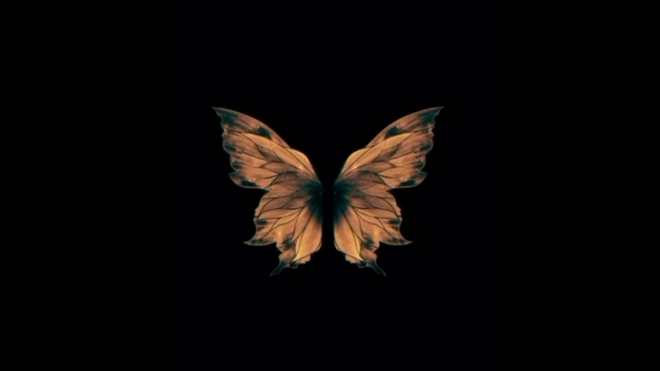 ‌‌ ZZ