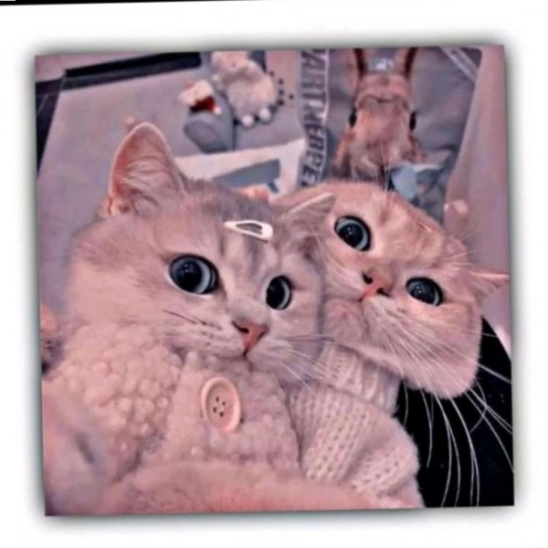 eeeee