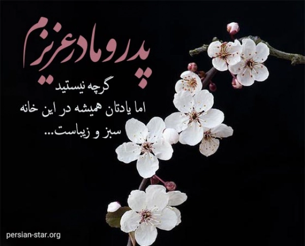 سیاره 9878فرنازمحمدی