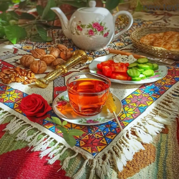 مجتبی