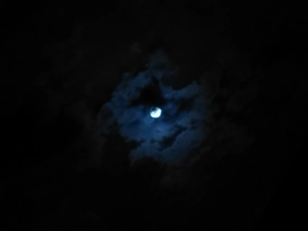 sajad 00:00