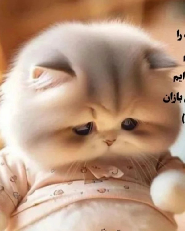 بنیامین شفیعی