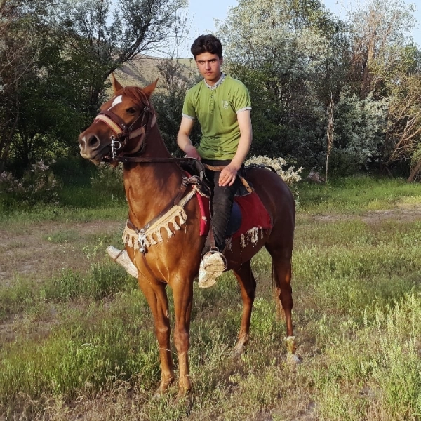 مهدی