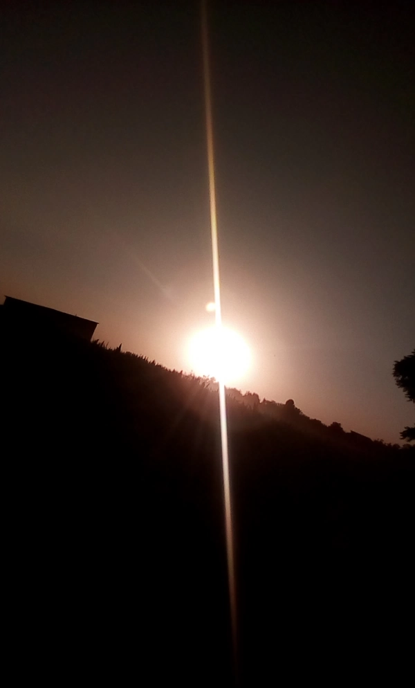 غرال