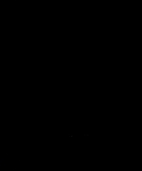 علی تنها