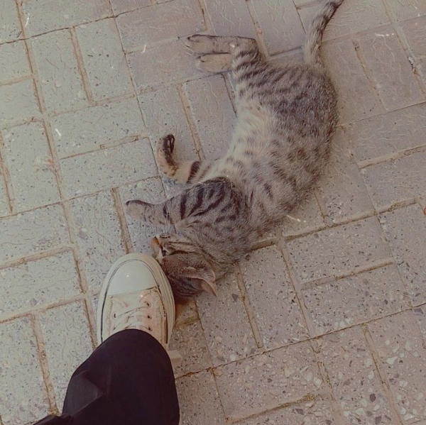 سیاره 6983