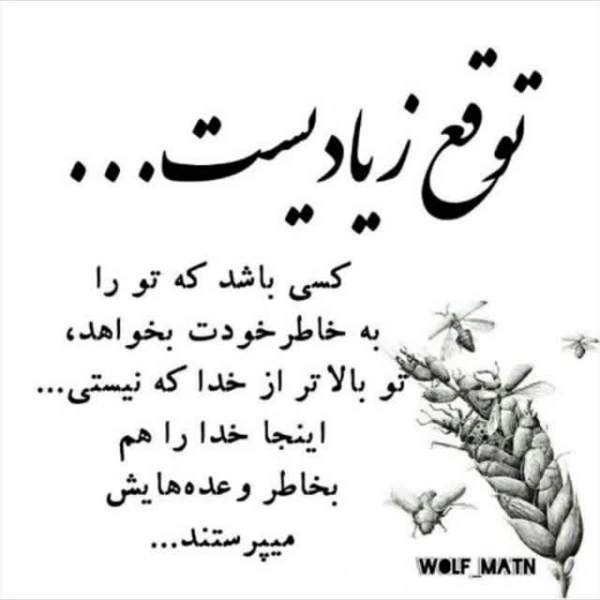 زمین
