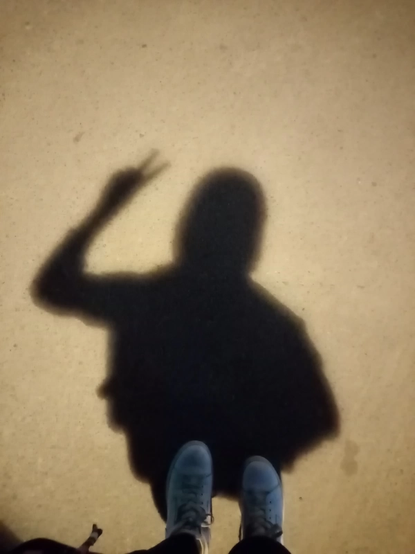 عشق گربه