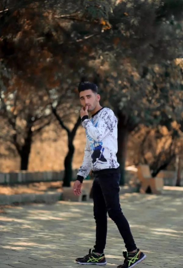 سیاره 3676