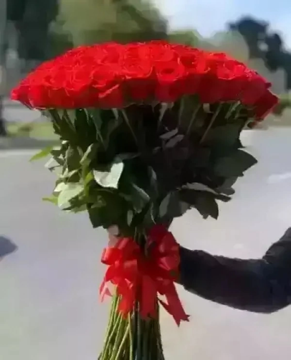 موسااحمدی