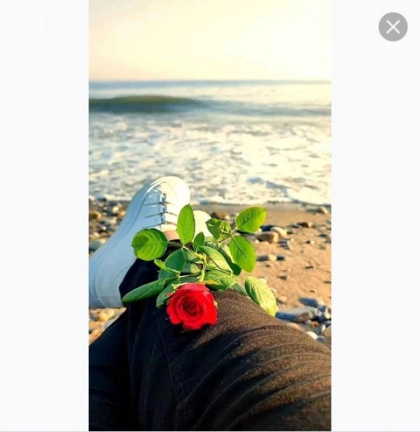 مرضیه محمدی