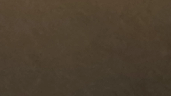 7//8907