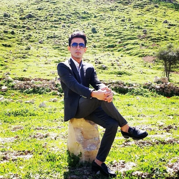 هامین