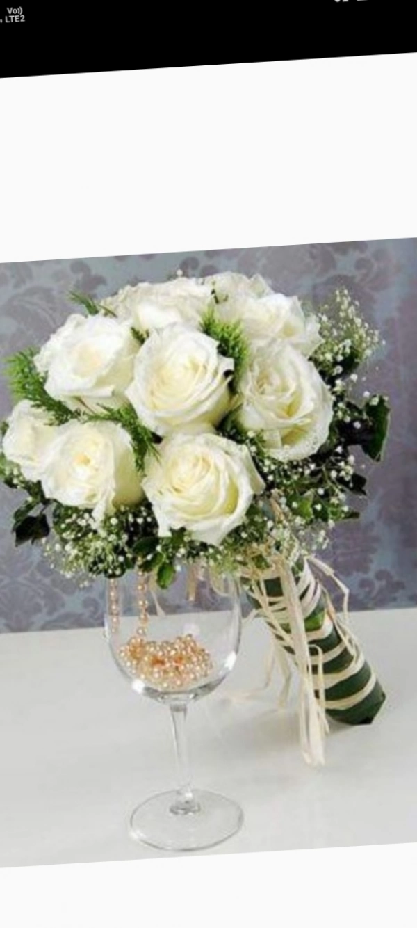 دختر کورد