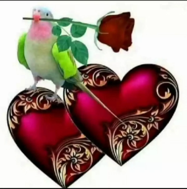 عشق ابدی