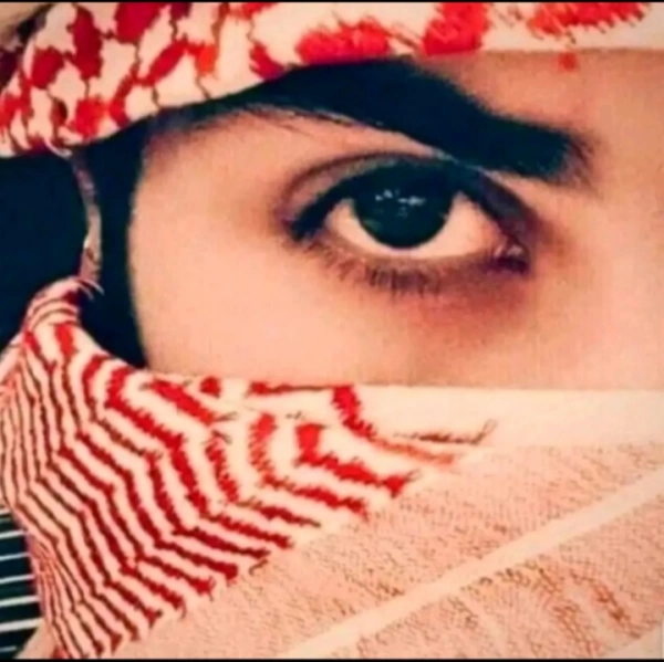 تنها گک تخار