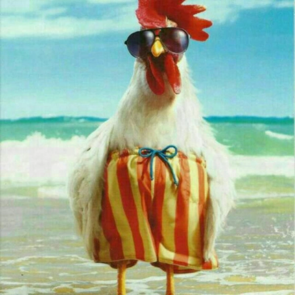 دزفول