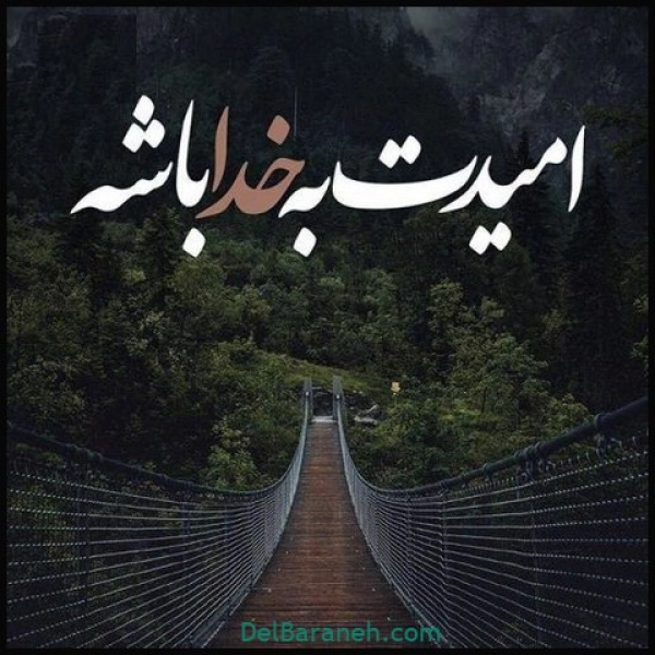 سعید