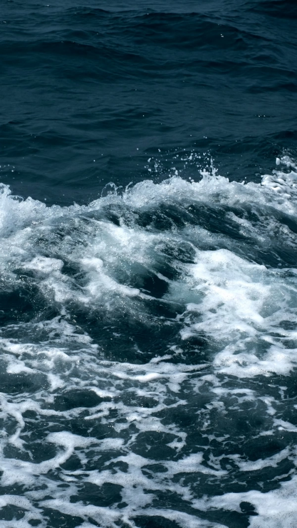 sea