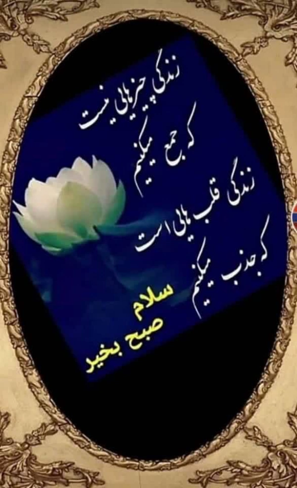زمین