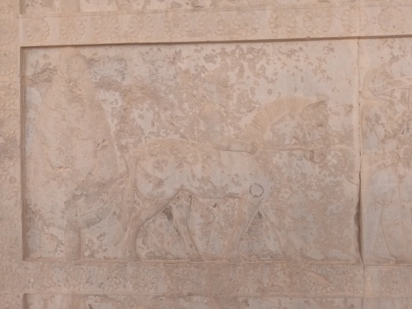 سیاره آفتاب